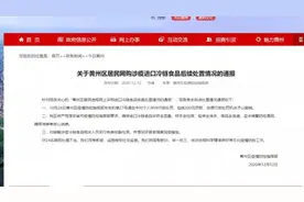 黄冈回应“居民网购涉疫食品被罚”：撤销处罚，深表歉意视频封面