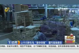 临沂：花卉市场公然叫卖野生鸟类 民警现场查获野鸟上千只图片