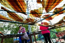 江苏太仓：冬闲时节晒鱼忙图片