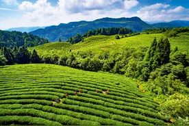 瞭望 | 重庆武隆：坚持绿色发展让“穷乡僻壤”变成“人间仙境”图片