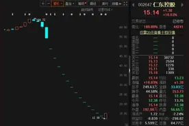 深夜重磅！仁东控股两大股东一个涨停“出逃”一个或被强平图片