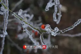 银装素裹，绝美浪漫！雾凇、冰挂，桂林这些地方美如仙境图片