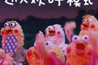 全省第一！图片