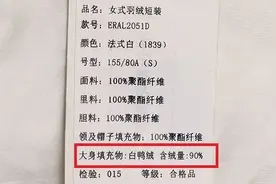 买羽绒服时，看懂吊牌的“秘密”，五个参数很重要图片