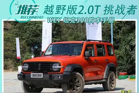 WEY坦克300正式上市 三款车型买谁最赚？图片
