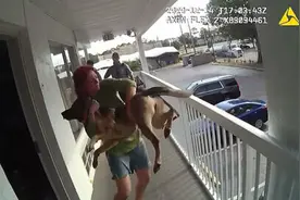 女子当警察面将自己的德牧扔下楼 被指控虐待动物图片