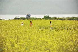 开平大沙镇荣获城市天然氧吧称号图片