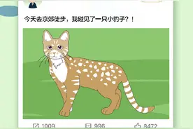 神奇动物在北京！京郊出现了“小豹子”图片