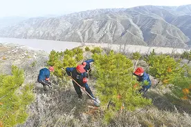 宜川县：峡谷雄鹰搏长风 千顷绿波一望收图片