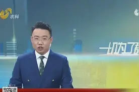 放假安排来了！山东12市公布中小学寒假时间，青岛寒假共计27天视频封面