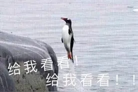 最新！芜湖95个工种工资指导价出炉！你在哪一档？图片