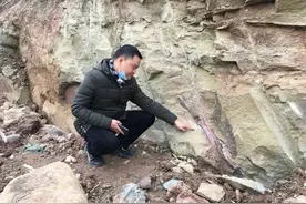 古生物研究专家散步巧遇恐龙化石 为自贡第161个恐龙化石发现点图片
