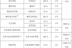 央美公布2021本科招生计划，建筑学等五个专业仅设置线上考试图片