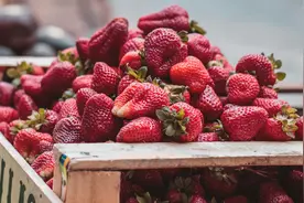 从拼多多“多多果园”看营销场景建设图片