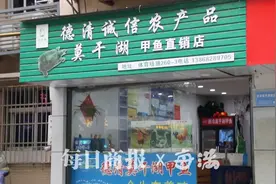 杭州体育场路藏着一位养甲鱼的高手，80多岁的老人穿过半个杭城来找他图片