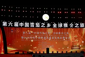 进入“黄金时代” “四川”雪茄展现“硬实力”图片