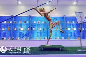 揭人体奥秘，安医大人体科学馆正式开馆图片