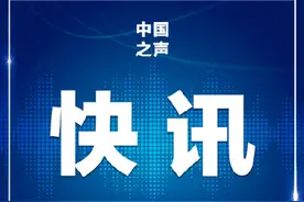 出户遛狗莫忘佩戴犬牌并系犬绳图片