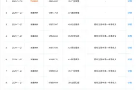 北京京东叁佰陆拾度电子商务有限公司申请“京喜拼拼”商标图片