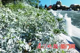 别误会！蔡尖尾山“雪景”引来游客扎堆 原来是为拍戏人工造的图片