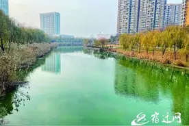 宿城区黑臭水体治理初见成效图片