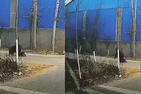 婚车经过烈士爷爷墓地，新婚军人下车行跪拜礼，车队同时鸣笛现场令人动容视频封面