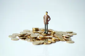 第二家市场化个人征信机构来了！朴道征信落户朝阳自贸区图片