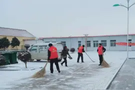 莒南：大雪纷飞中的网格员图片