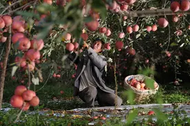 腿上有泥，身上有土，拼出来的黄金时代图片