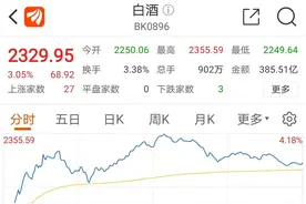 白酒股持续上涨，多家企业成“白酒概念”新军，白酒板块扩容图片