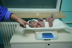 2021年新年宝宝诞生！网友祝福并发出灵魂拷问：属牛还是属鼠？图片