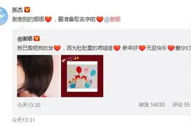 新年喜讯！谢娜官宣怀二胎 张杰甜蜜回应忙取名图片