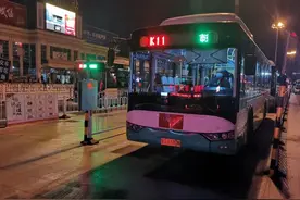 60岁以上老年人坐公交免费，临沂已实行6年累计办卡近29万张图片