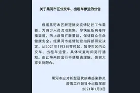 紧急通知！黑龙江黑河暂停市区内公交车、出租车运营图片