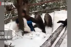 成都女子登山遭“泼猴”薅头发，衣服被扒掉一半，文旅局工作人员这样说图片