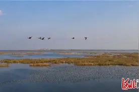 衡水治水图片