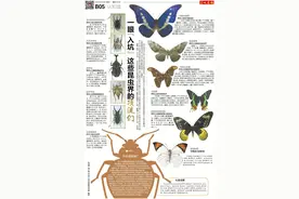 认知馆丨一眼“入坑”这些昆虫界的顶流们图片