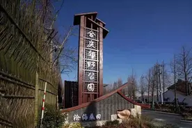 新年新景观，盘点上海最近新开放的好去处图片