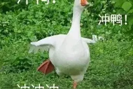 汝州新添几个旅游好去处！快看看都在哪里图片