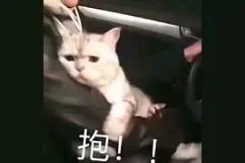 早报超有料丨周杰伦王俊凯合作电影曝剧照《小红花》曝片段千玺尴尬语塞图片