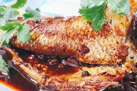 专家教你如何选鱼视频封面