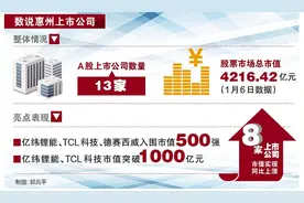 惠州A股上市公司总市值超4200亿 一企业年增过千亿图片