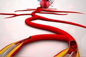 新兴技术还是资本骗局？健帆生物血液灌流器能否撑起592亿元市值？图片