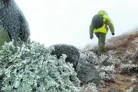 玉林人，冰挂美景还会持续两三天图片