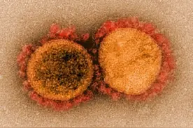 最新研究：新冠出院患者半年后仍至少一种症状，抗体水平下降图片
