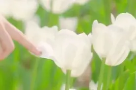别怕，我在图片
