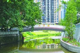 陪一条河流散步图片