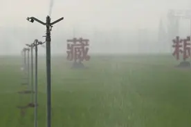 高标准农田里的“科技密码”