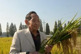 抖音号“袁隆平中华拓荒人”已搜不到，抖音回应暂封禁