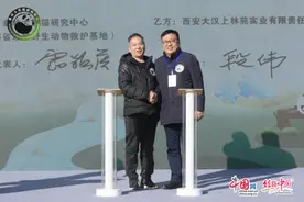 陕西将建设秦岭大熊猫科学公园 位于长安区滦镇图片